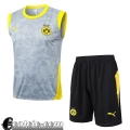 Dortmund maglietta a maniche senza Uomo 25-26 H771 Dortmund maglietta a maniche senza Uomo 25-26 H771