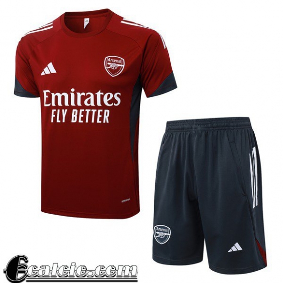 Arsenal magliette a maniche corte Uomo 25-26 H803 Arsenal magliette a maniche corte Uomo 25-26 H803