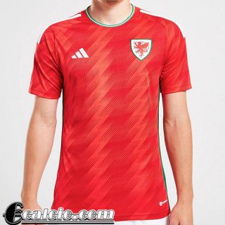 Maglie Calcio Galles Prima Uomo Coppa del Mondo 2022