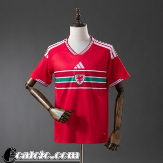 Maglia Calcio Galles Prima Uomo 2026 Maglia Calcio Galles Prima Uomo 2026