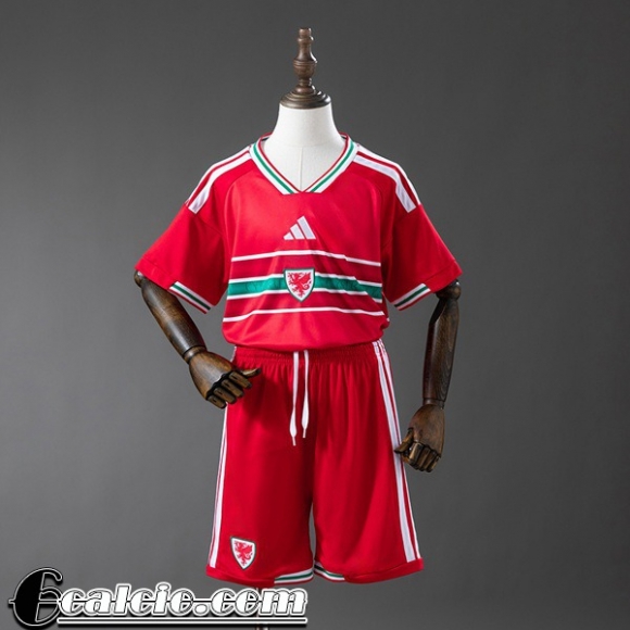 Maglia Calcio Galles Prima Bambini 2026 Maglia Calcio Galles Prima Bambini 2026