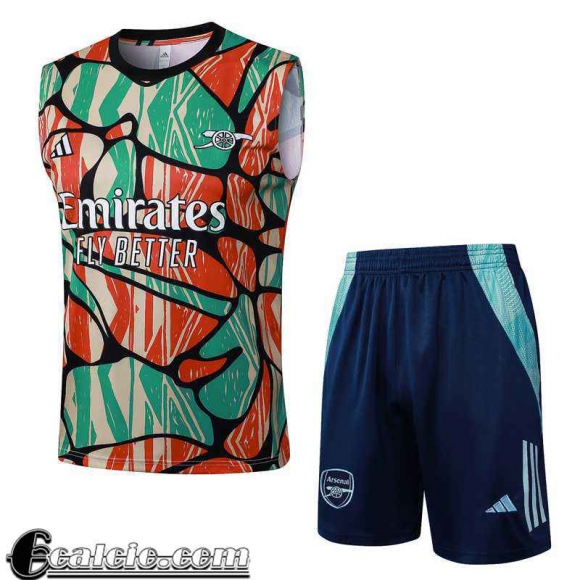Arsenal Maglietta senza maniche Uomo 2024 2025 H363