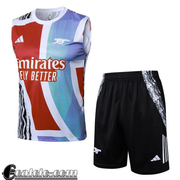 Arsenal Maglietta senza maniche Uomo 2024 2025 H371