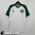 Maglie calcio Palmeiras Edizione speciale Uomo 23 24 TBB38