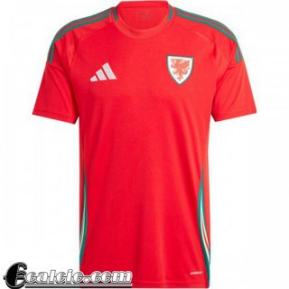 Maglie Calcio Galles Prima Uomo 2024