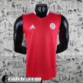 T-Shirt Bayern Monaco Rosso Uomo 2022 23 PL324