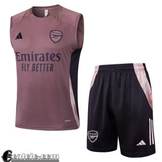 Arsenal magliette a maniche senza Uomo 25-26 H502