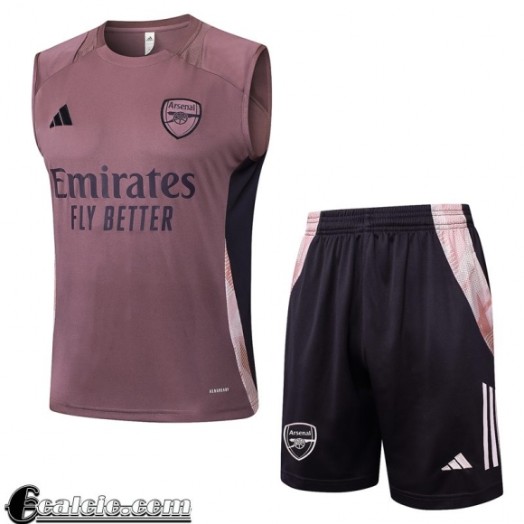 Arsenal magliette a maniche senza Uomo 25-26 H502