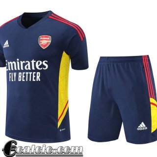 T-Shirt Arsenal blu Uomo 2022 23 PL470