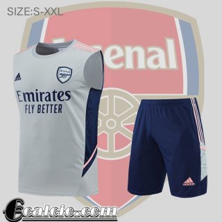 Senza maniche Arsenal grigio Uomo 2022 23 PL503