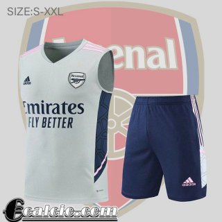 Senza maniche Arsenal grigio Uomo 2022 23 PL512