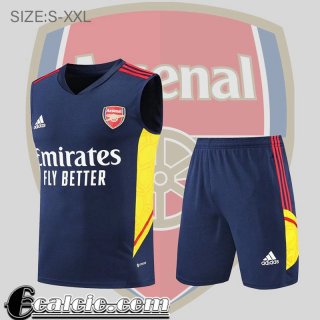 Senza maniche Arsenal blu Uomo 2022 23 PL516