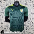 Maglie Calcio Senegal Verde Uomo AG04