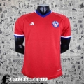 Maglie Calcio Coppa Del Mondo Chile Prima Uomo 2022 AG85